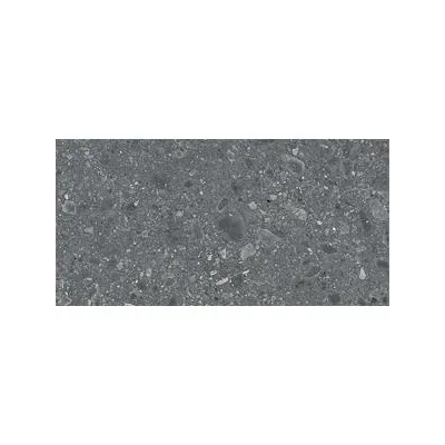 2026_06_10_258579