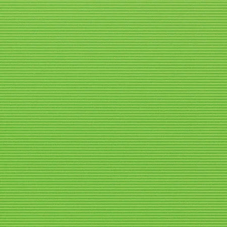 2026_06_11_355562