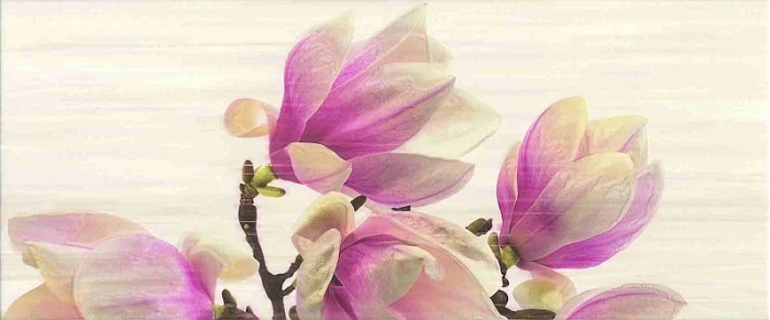 2026_06_11_355990
